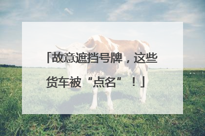 故意遮挡号牌，这些货车被“点名”！